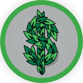 The Income Statement-An Introduction